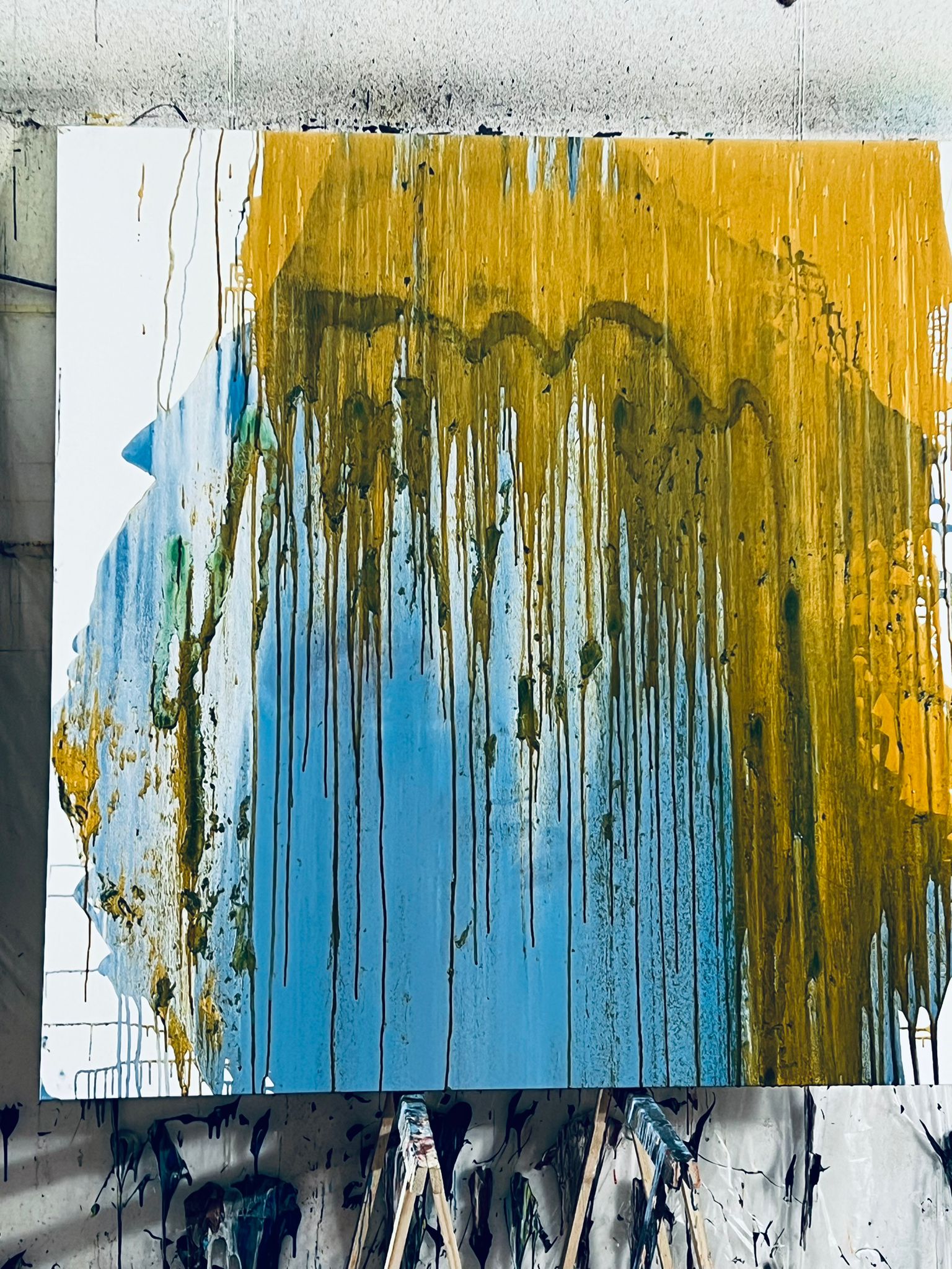 WhatsApp Image 2024-07-10 at 11.10.37